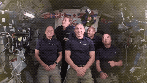 An animated GIF of a NASA clip, encoded by pito-codecs