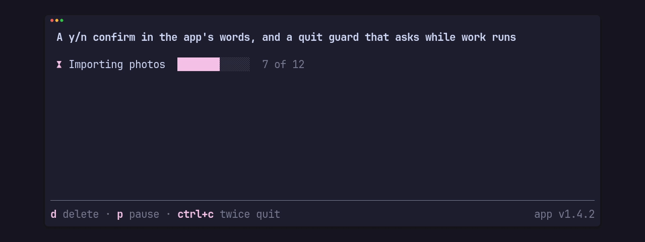An import runs; d asks “Delete the 12 photos?” over the hint line, the choice moves between Yes and No and No keeps them; ctrl+c shows “Press ctrl+c again to quit”, a second ctrl+c asks “The import is still running. Quit anyway?”, and y quits